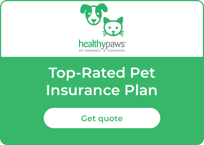 Find The Best Pet Insurance - Pet Insurance Guide 