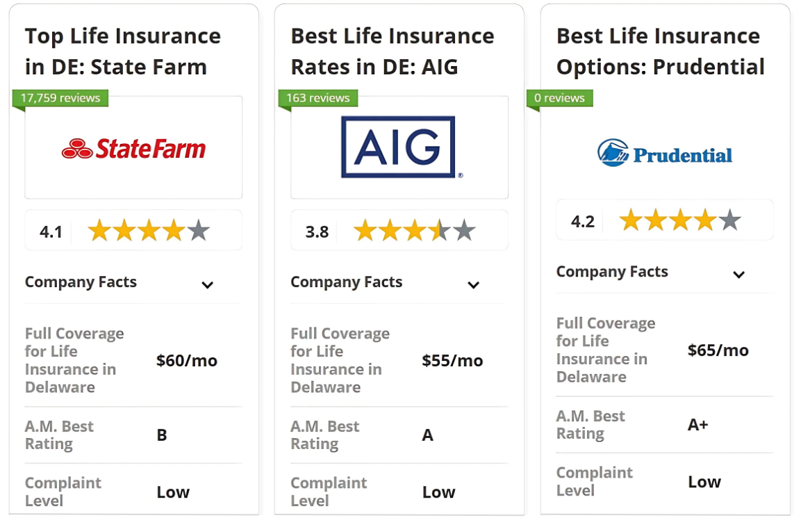 State Farm, AIG and Prudential: Best Life Insurance in Delaware