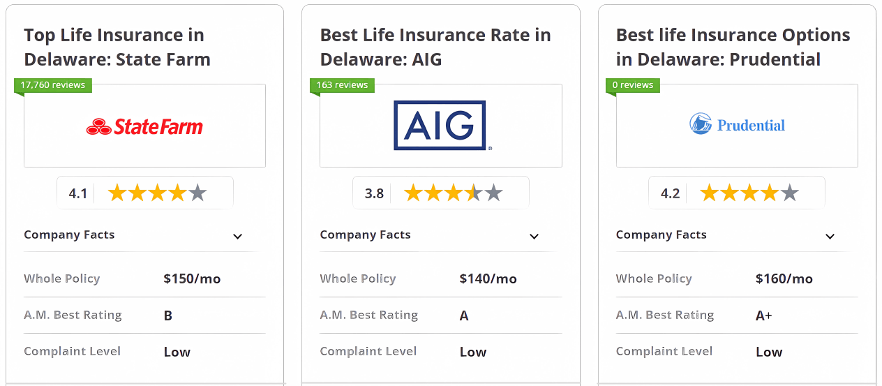 State Farm, AIG and Prudential: Best Life Insurance in Delaware