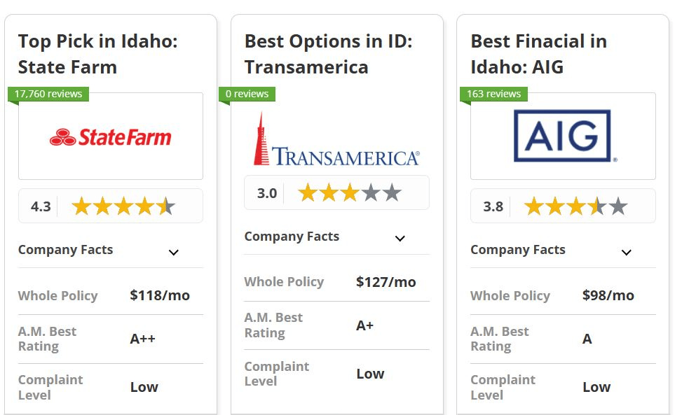 Best Life Insurance in Idaho: State Farm Transamerica AIG 