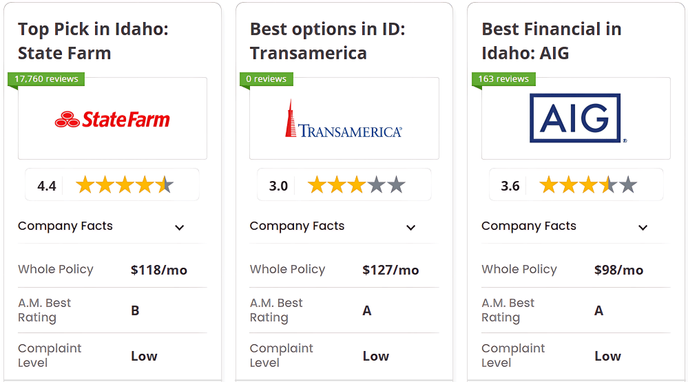 Best Life Insurance in Idaho: State Farm,Transamerica and AIG 