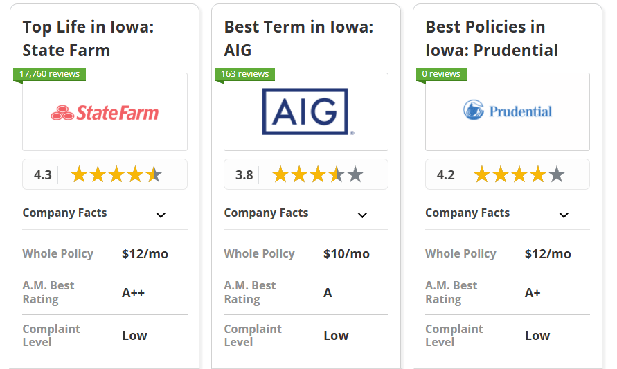 Best Life Insurance in Iowa: State Farm, AIG and Prudential