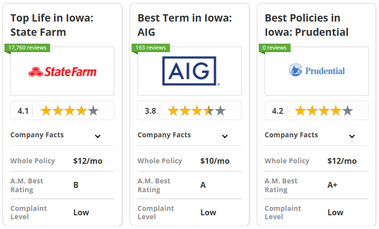 Best Life Insurance in Iowa: State Farm, AIG and Prudential