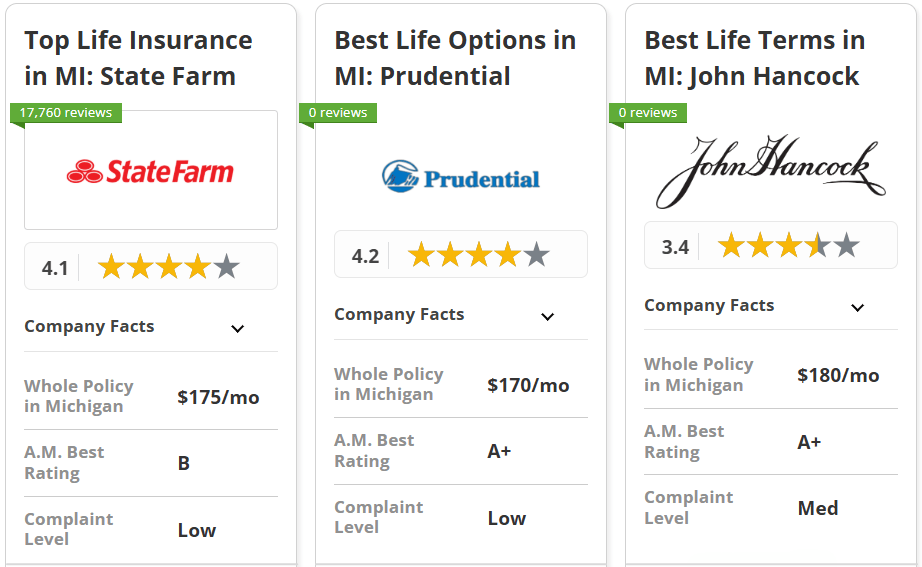 Best Life Insurance in Michigan: State Farm, Prudential, John Hancock