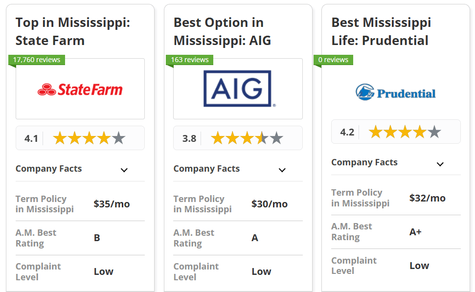 Best Life Insurance in Mississippi: State Farm, AIG and Prudential