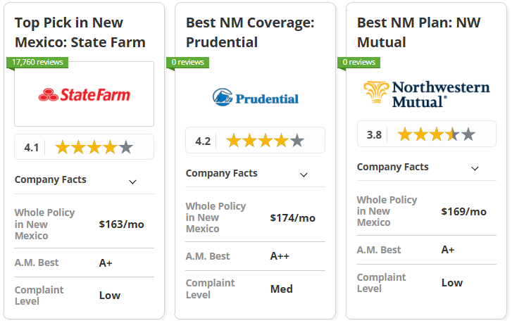 Best Life Insurance in New Mexico: State Farm, Prudential, Northwestern Mutual