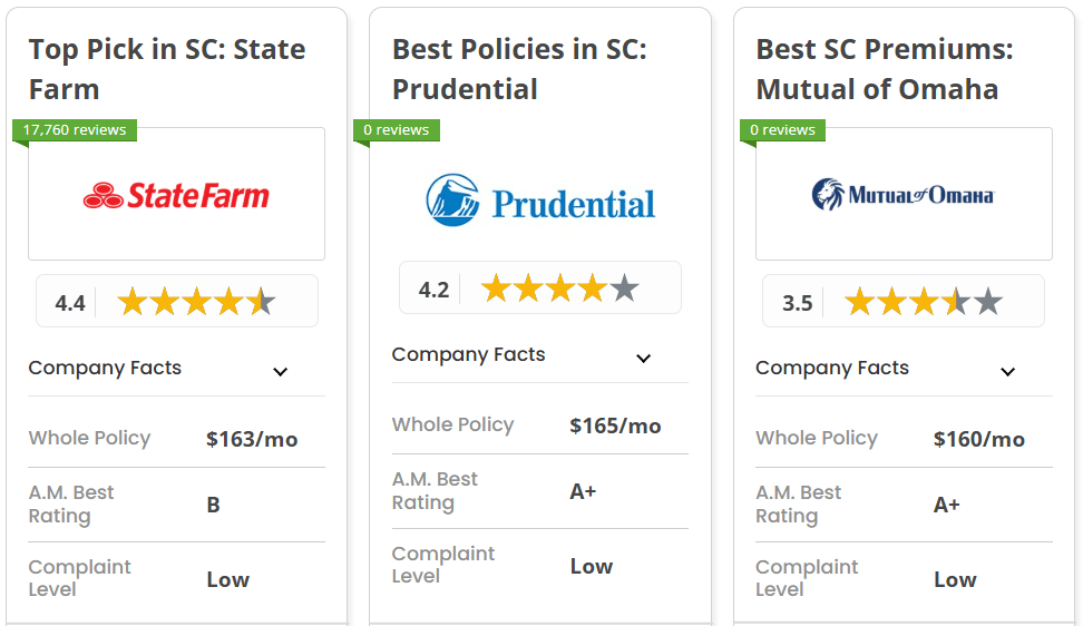 Best life insurance in South Carolina: State Farm, Prudential, Mutual of Omaha