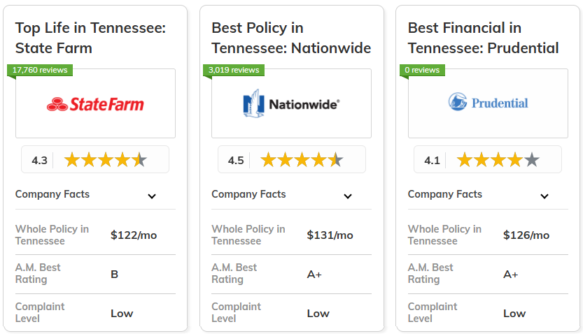 Best Life Insurance in Tennessee: State Farm, Nationwide, and Prudential