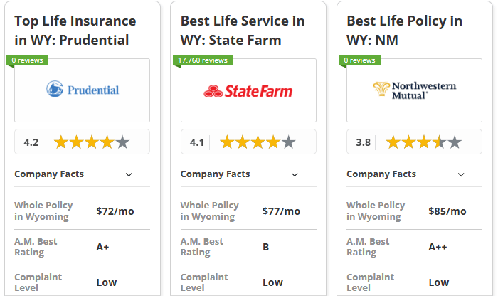 Best Life Insurance in Wyoming - Prudential, State Farm, and Northwestern Mutual