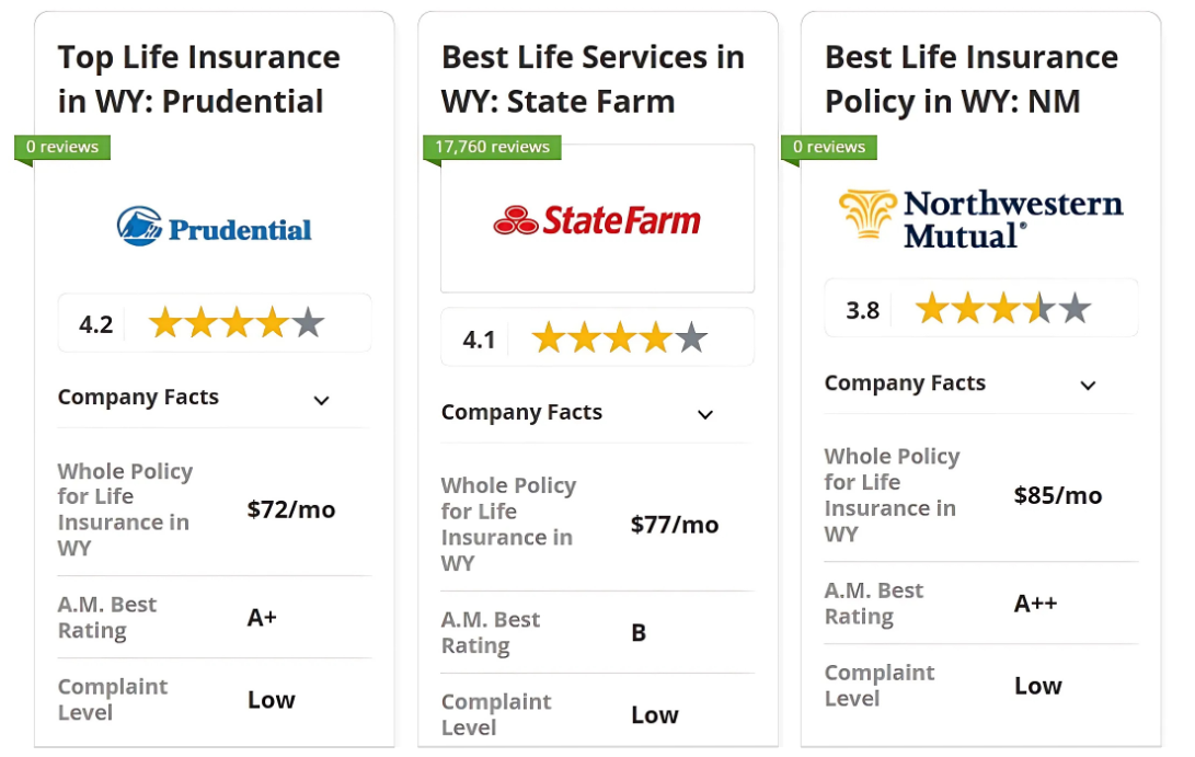 Best Life Insurance in Wyoming - Prudential, State Farm, and Northwestern Mutual